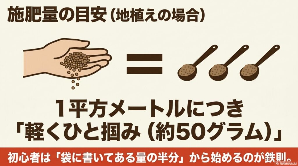 1平方メートルにつき軽くひと掴み(約50グラム)という14-14-14肥料の施肥量目安。初心者は袋に書いてある量の半分から始めるのが鉄則