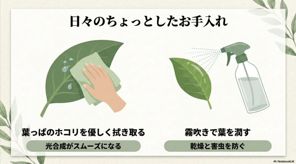 光合成をスムーズにするための葉っぱのホコリ拭き取りと、乾燥と害虫を防ぐための霧吹きによる日々のお手入れ方法