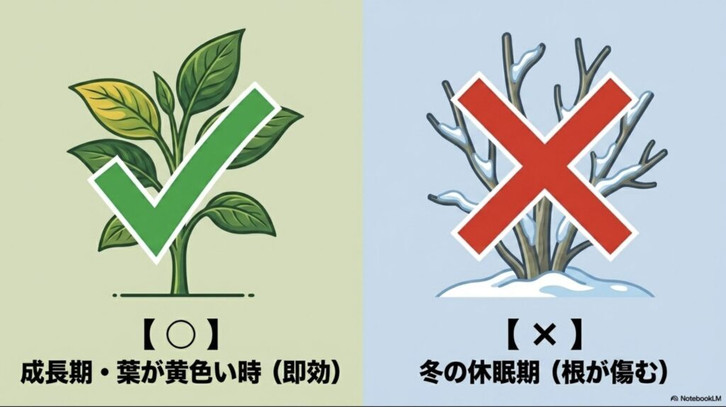 化成肥料NK17を施肥するベストなタイミング(生育初期、実がなる時期、葉の黄化サイン時)と、施肥を避けるべき冬の休眠期をまとめたスライド。