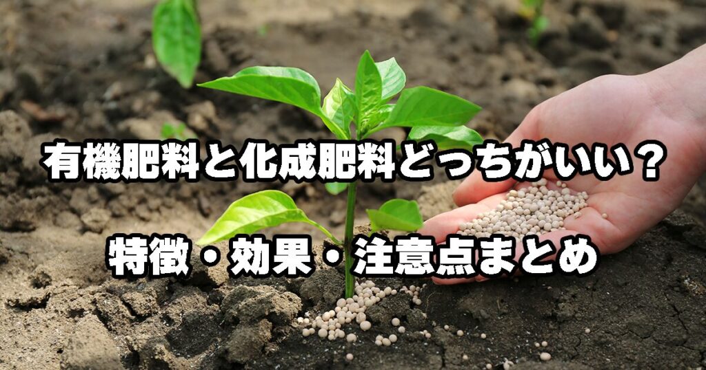 有機肥料と化成肥料どっちがいい?特徴・効果・注意点まとめ