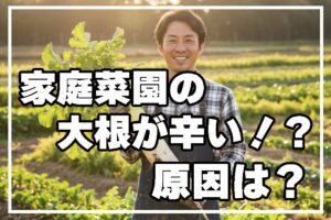 家庭菜園の大根が辛い原因は？
