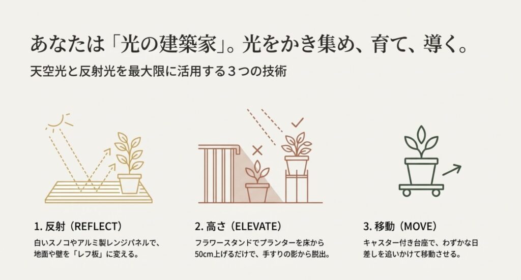 日陰栽培の成功技術。「反射（REFLECT）」「高さ（ELEVATE）」「移動（MOVE）」の3つのアイコンと、スノコやスタンドを活用して光を確保する具体的な方法のイラスト。