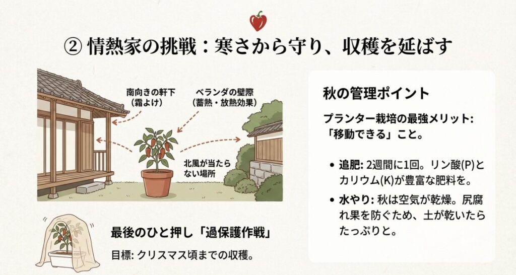 霜よけのために南向きの軒下やベランダの壁際にプランターを移動させるイラスト。不織布による防寒対策。