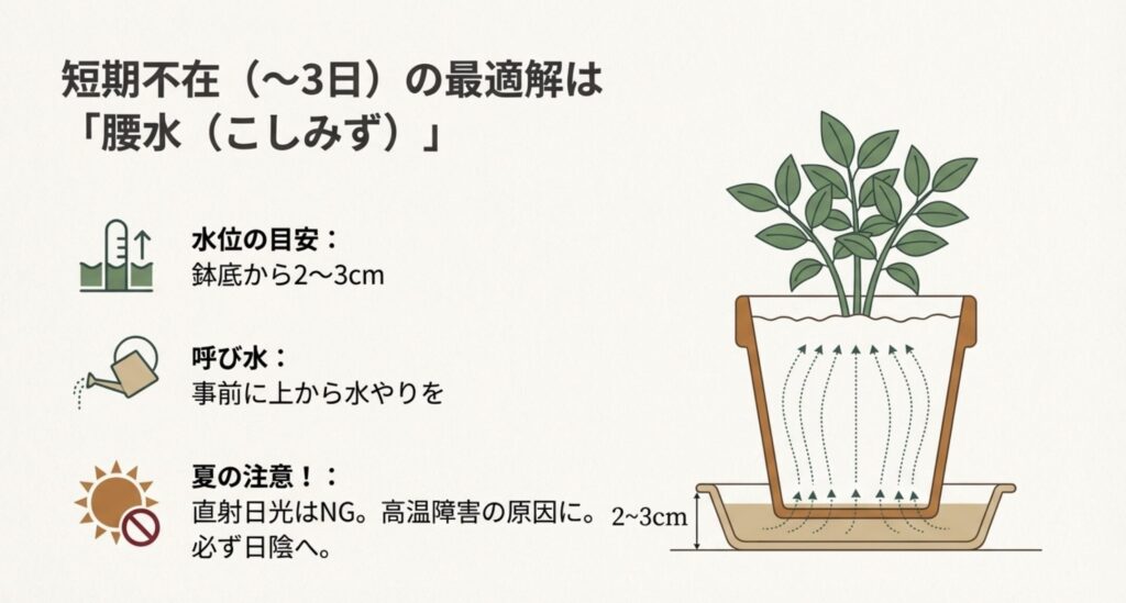 鉢底から2〜3cmを水に浸し、毛細管現象で給水する腰水のイラスト。水位の目安と、夏場は直射日光を避けるべきという注意書き。