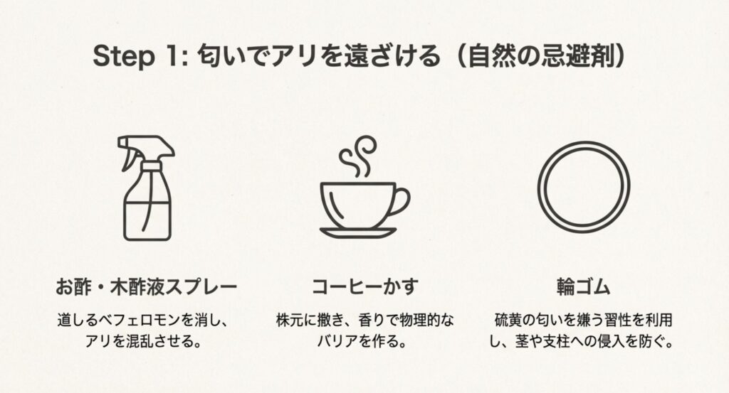 お酢・木酢液、コーヒーかす、輪ゴムを活用した、匂いによる忌避対策のまとめ。