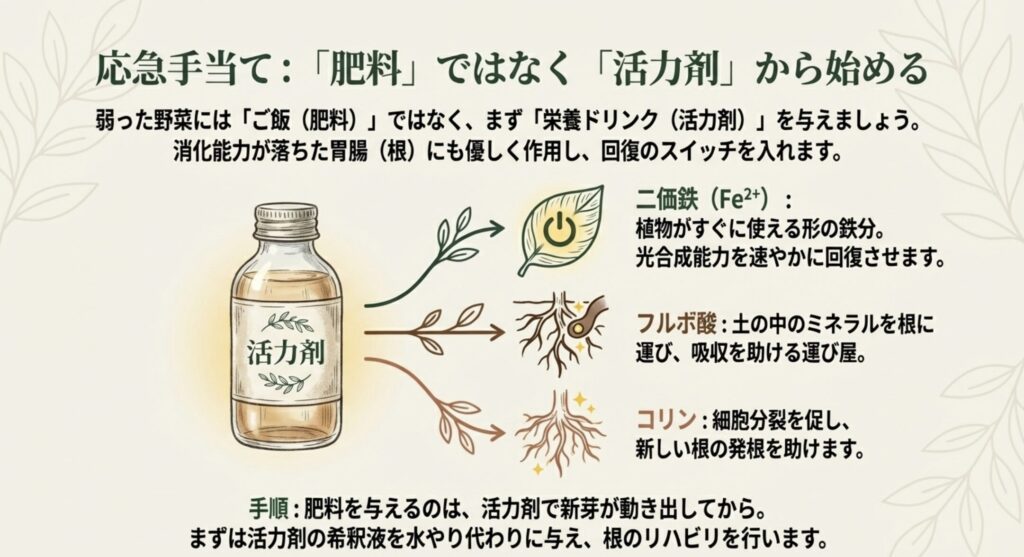 団粒構造の機能:大きな粒(団粒)が水を蓄え(保水)、粒間に隙間があり新鮮な空気が入り(通気)余分な水を排出する(排水)様子を矢印で示したイラスト。