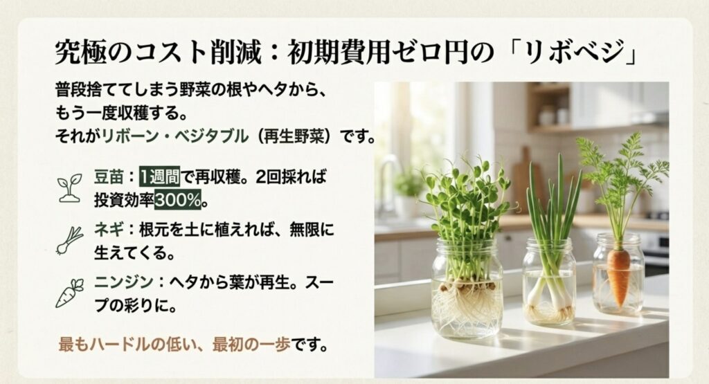 捨ててしまう野菜の根やヘタを水につけて再収穫するリボーン・ベジタブルのイラスト解説。