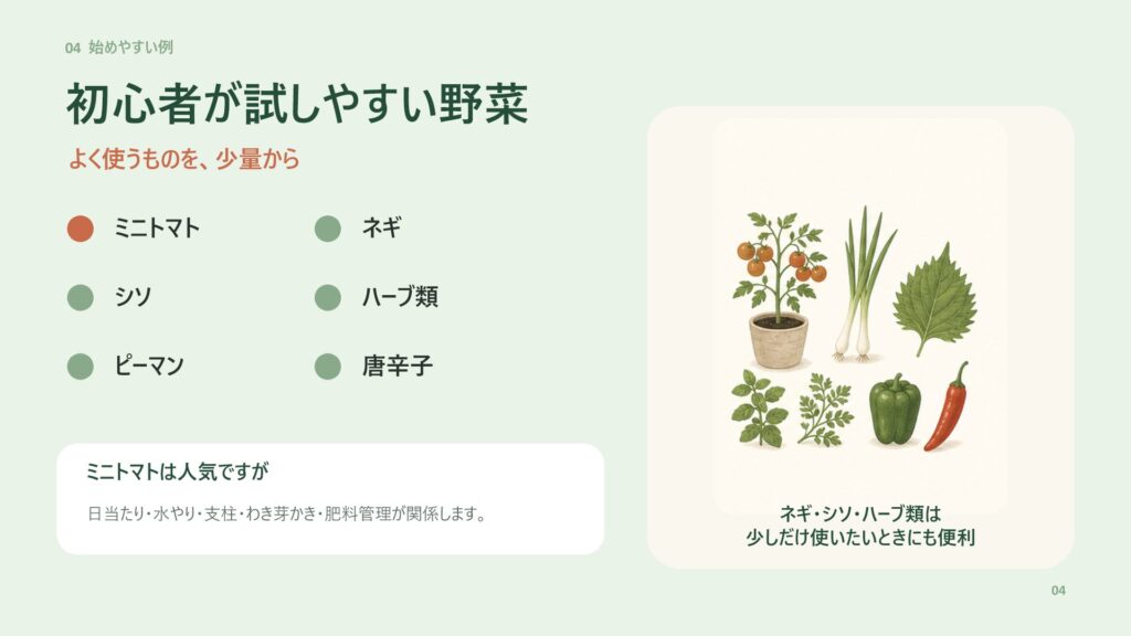 初心者が始めやすいミニトマト、ネギ、シソ、ハーブ、ピーマン、唐辛子の例