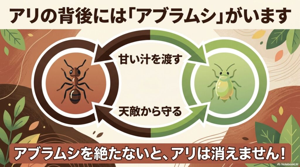 アリの背後にはアブラムシがいます。アリがアブラムシを天敵から守り、代わりに甘い汁をもらう共生関係の図解。