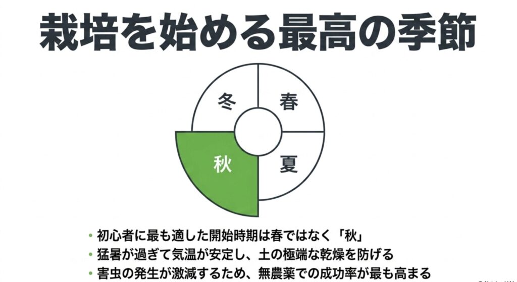 気温が安定し害虫が減るため、プランター栽培を始めるのに最も適した季節が「秋」であることを示すスライド