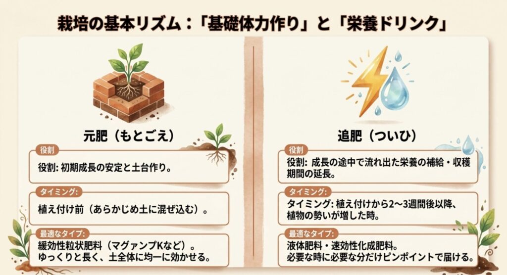 化学肥料の即効性と有機肥料の旨味アップ効果を比較し、プランターには「有機入り化成肥料」と「液体肥料」の併用が最適解であることを示すスライド。