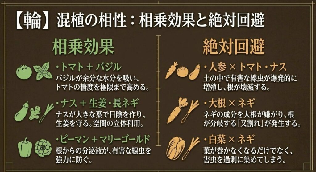 トマトとバジルなどの相乗効果や、人参とトマトなどの絶対に回避すべき混植の相性をまとめたスライド