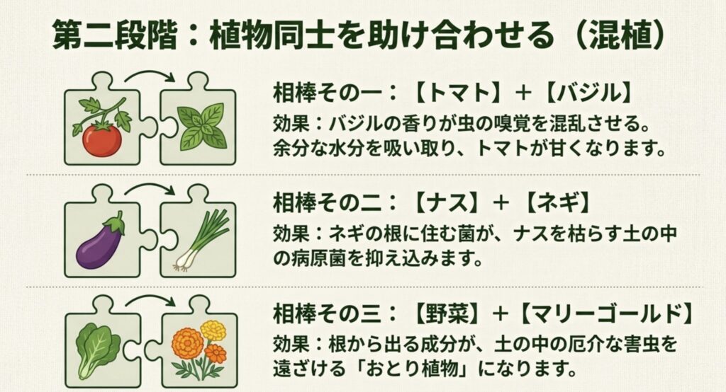 植物同士を助け合わせるコンパニオンプランツ（混植）の例。トマトとバジル、ナスとネギ、野菜とマリーゴールドといった、お互いの成長を助けたり害虫を遠ざけたりする相性の良い組み合わせを図解しています。