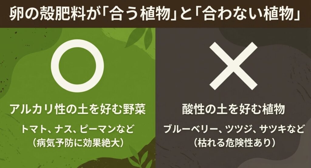 卵の殻肥料が合う植物（トマト等）と合わない植物（ブルーベリー等）