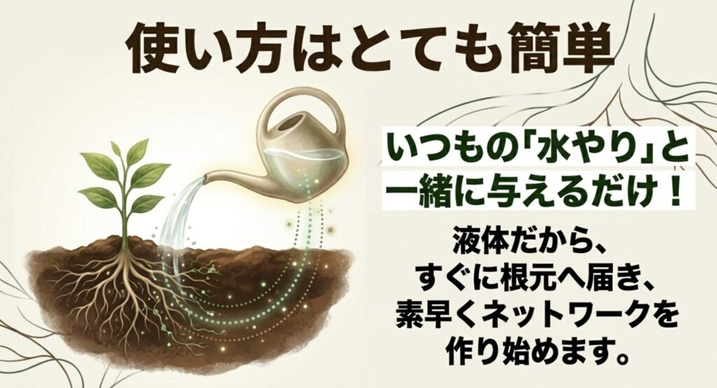 いつもの水やりと一緒に与えるだけで、液体がすぐに根元へ届きネットワークを作る様子