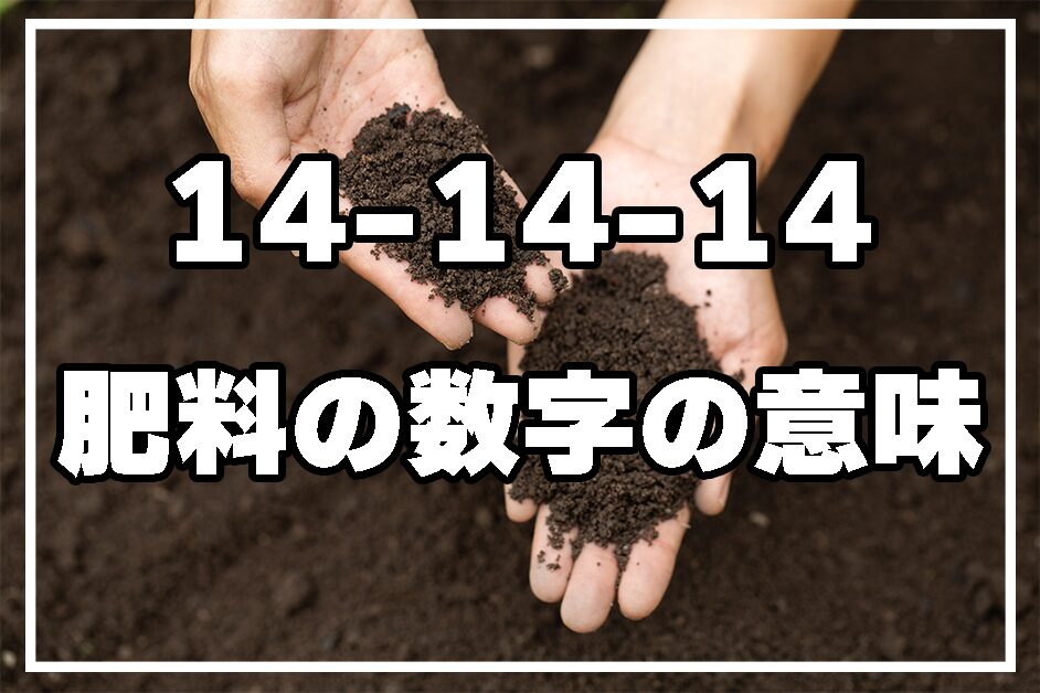 基礎から解説！肥料の14 14 14の意味と正しい使い方