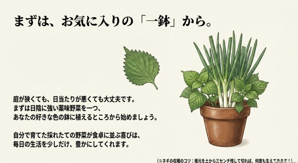 お気に入りの一鉢から始める家庭菜園：日陰に強いシソやネギなどの薬味野菜を植えた鉢植えのイラスト
