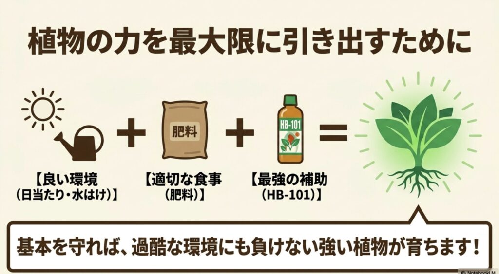 日当たりや水はけなどの良い環境、適切な肥料、そして最強の補助であるHB-101を組み合わせることで強い植物が育つというまとめ図