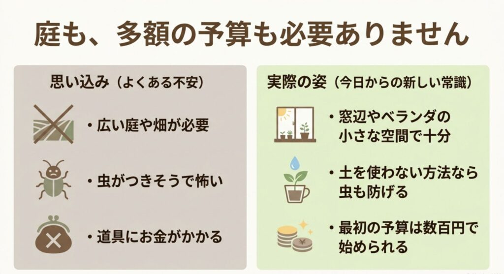 家庭菜園の思い込みと実際の姿。広い庭や多額の予算は不要で、窓辺の小さな空間と数百円から始められる