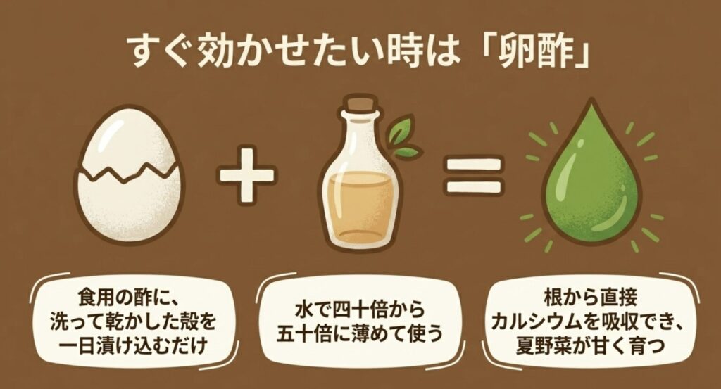 即効性のある液体肥料「卵酢」の作り方と使い方