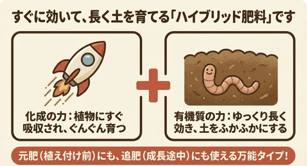 化成の力で植物にすぐ吸収され、有機質の力でゆっくり長く効き土をふかふかにするハイブリッド肥料であることを示すイラスト