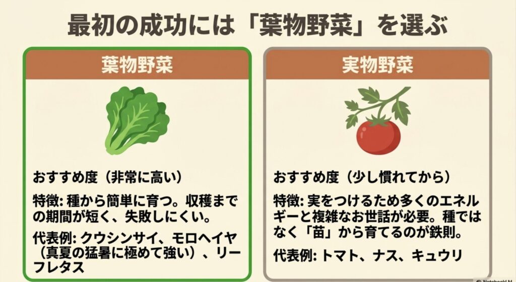 種から簡単に育つ葉物野菜と、苗から育てるのが鉄則の実物野菜の比較