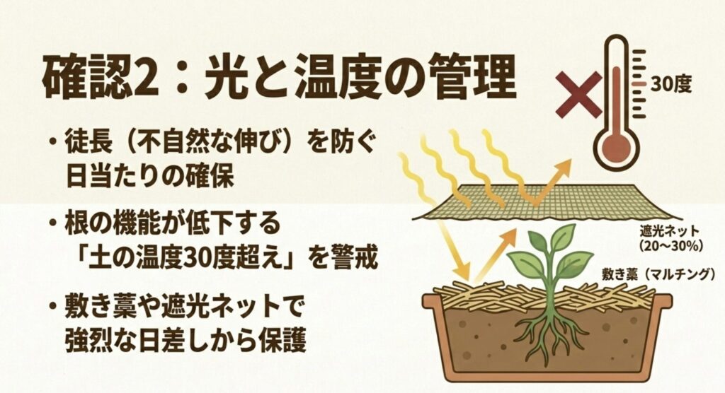 徒長を防ぐ日当たりの確保や、30度を超える地温に対する遮光ネット・敷き藁などの対策をまとめたスライド