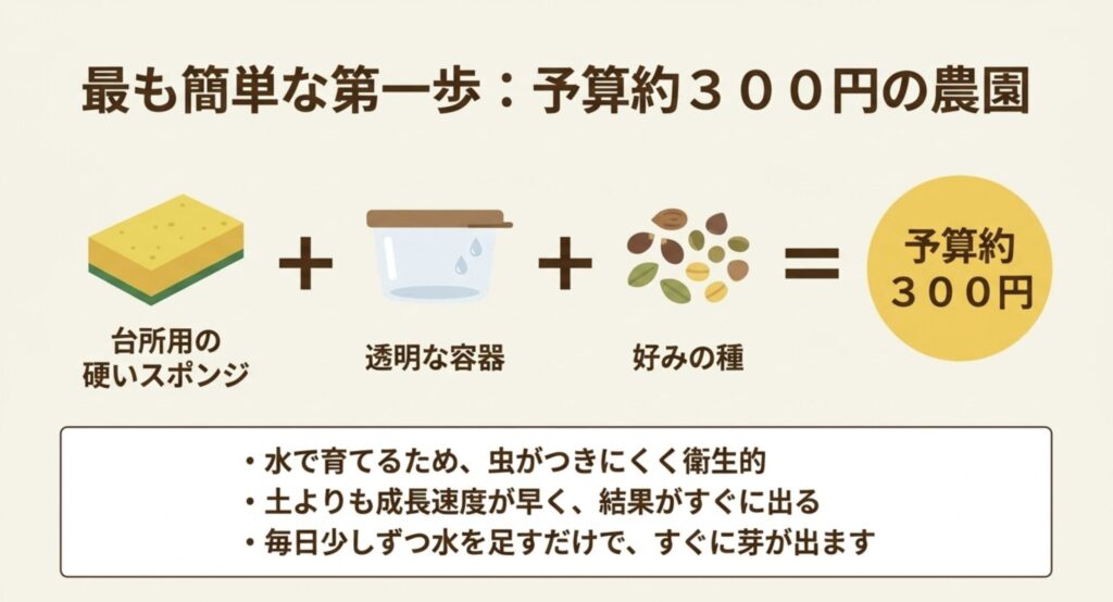 予算約300円で始める農園。台所用スポンジと透明な容器、好みの種を使い、虫がつきにくく衛生的に育てる方法