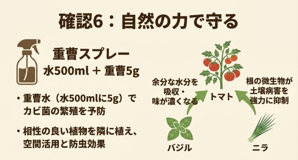 重曹スプレーによるカビ予防や、相性の良い植物を隣に植えるコンパニオンプランツの防虫効果を解説したスライド