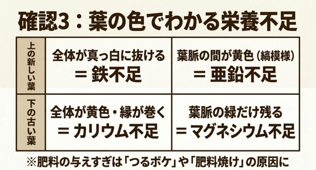 鉄、亜鉛、カリウム、マグネシウムの不足によって野菜の葉に現れる変色や症状の違いを一覧にしたスライド