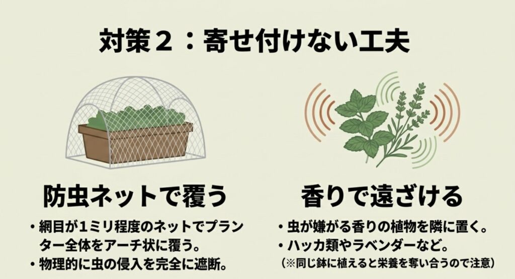 対策2:寄せ付けない工夫。 防虫ネットで覆って物理的に虫の侵入を完全に遮断する方法と、虫が嫌がる香りの植物を隣に置いて遠ざける方法。