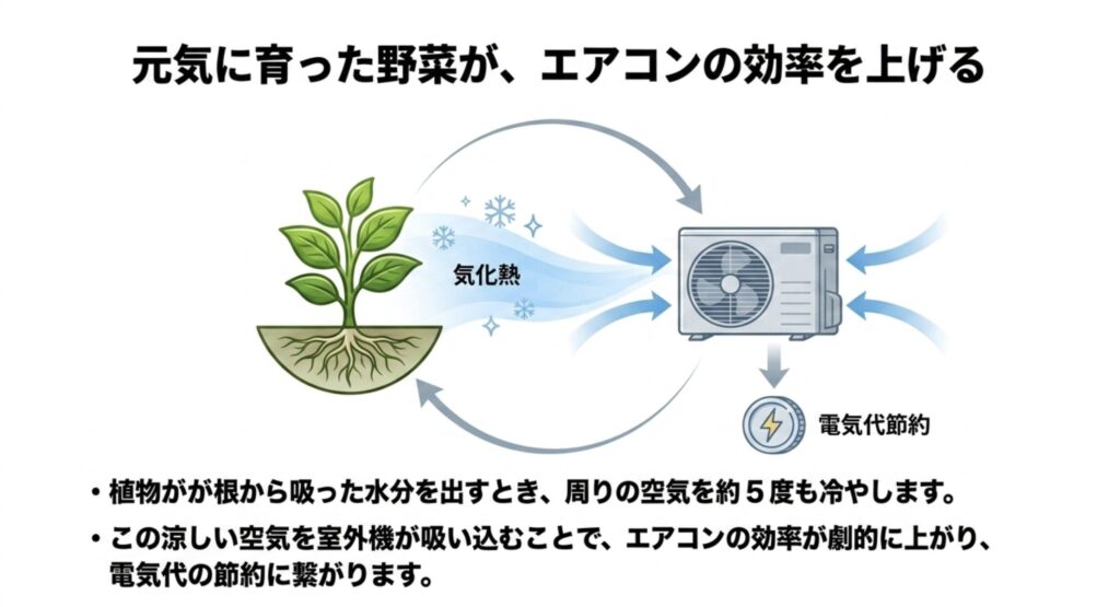 植物の気化熱で涼しくなった空気を室外機が吸い込むことによるエアコンの電気代節約効果
