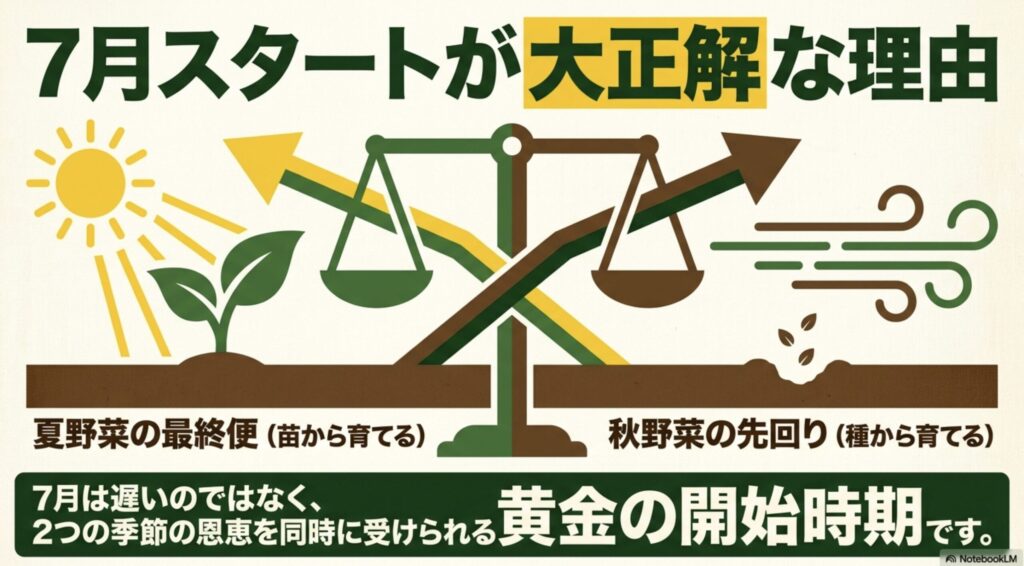 7月スタートが大正解な理由。夏野菜の最終便と秋野菜の先回りで、季節の恩恵を同時に受けられる黄金の開始時期であることを示す図解。