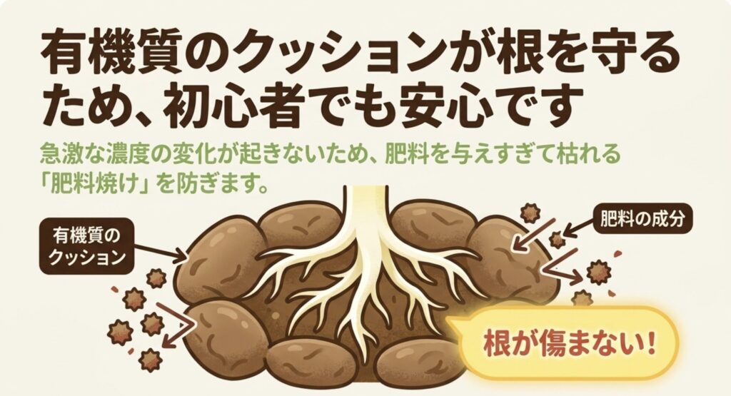 有機質のクッションが根を守り、急激な濃度の変化を防ぐことで肥料焼けを起こさないことを示す図