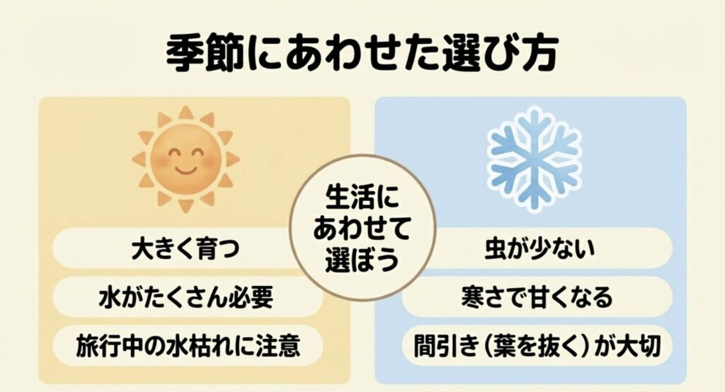 大きく育ち水を多く必要とする春夏野菜と、虫が少なく寒さで甘くなる秋冬野菜の比較図解