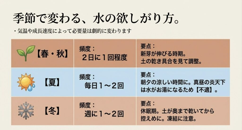 春秋、夏、冬といった季節ごとに異なる水やりの頻度と注意点