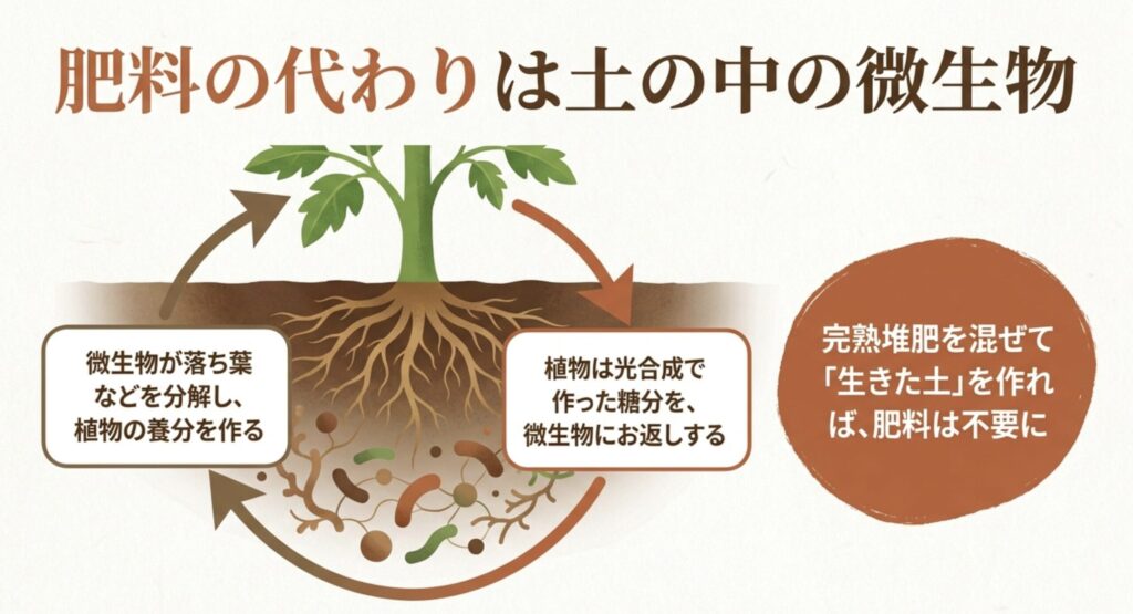 肥料の代わりになる土の中の微生物の働き。植物が光合成で作った糖分と微生物が分解した養分を交換する仕組み