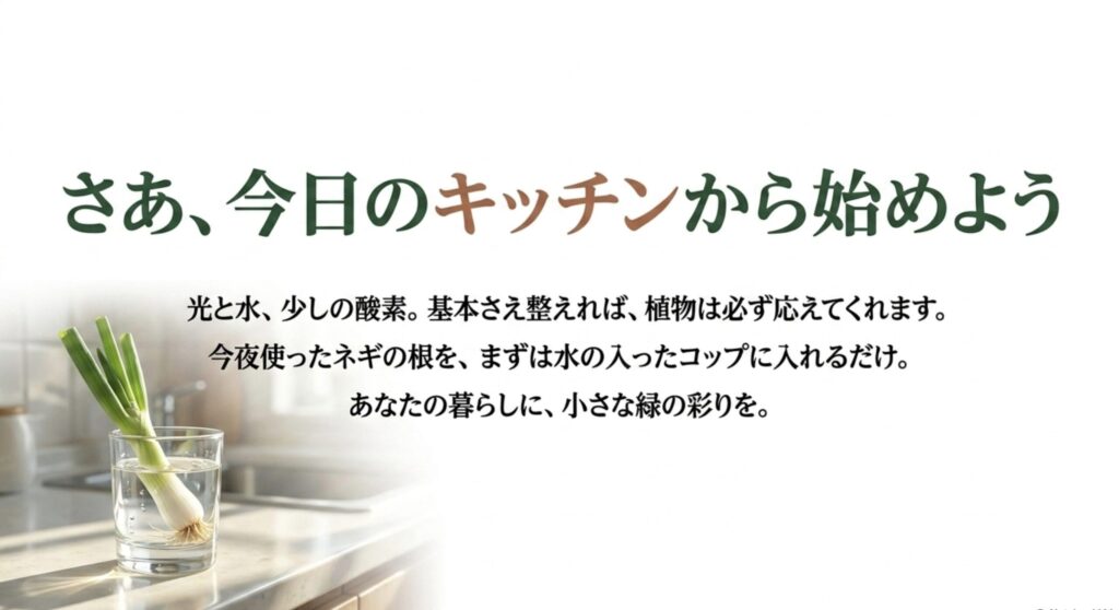 さあ、今日のキッチンから始めよう。光と水、少しの酸素という基本を整えて、小さな緑の彩りを暮らしに加えるメッセージ。