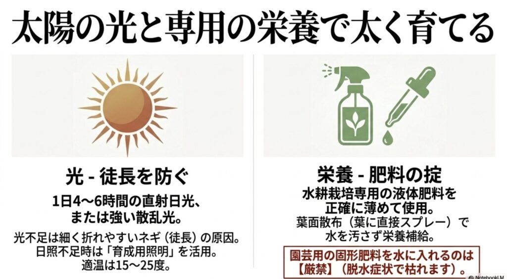 ネギの徒長を防ぐための光の当て方と、水耕栽培専用の液体肥料の使い方。固形肥料を水に入れるのは厳禁。