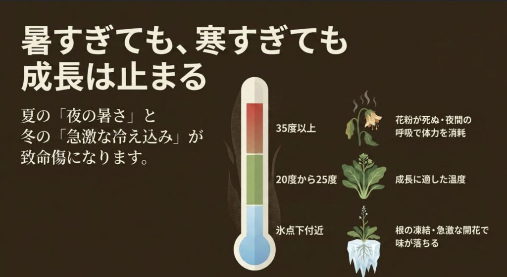 35度以上の夏の暑さと氷点下付近の冬の急激な冷え込みが野菜の成長に与える悪影響の解説