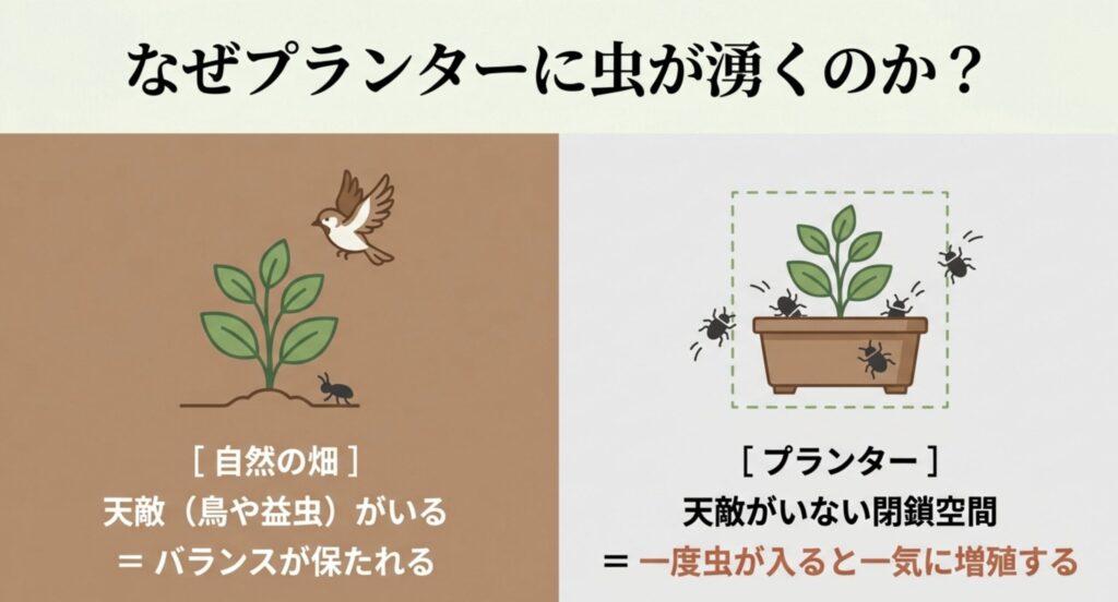 なぜプランターに虫が湧くのか? 自然の畑は天敵がいてバランスが保たれるが、プランターは天敵がいない閉鎖空間のため一度虫が入ると一気に増殖する。