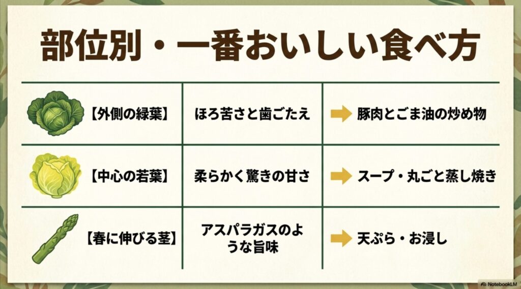 バンザイ白菜の部位別一番おいしい食べ方:外葉は炒め物、中心の若葉はスープ、春の茎は天ぷら