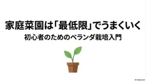 家庭菜園は最低限の道具でうまくいく！初心者のためのベランダ栽培入門