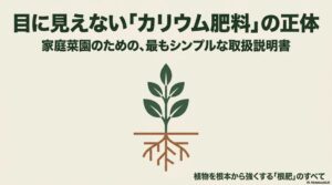 目に見えないカリウム肥料の正体と、植物を根本から強くする根肥について解説したタイトル画像