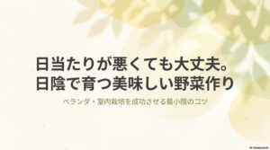日当たりが悪くても育つ美味しい野菜作りのコツとベランダ栽培成功の秘訣