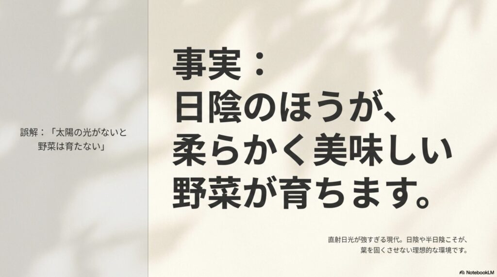 太陽の光がないと育たないは誤解。日陰の方が柔らかく美味しい野菜が育つ事実