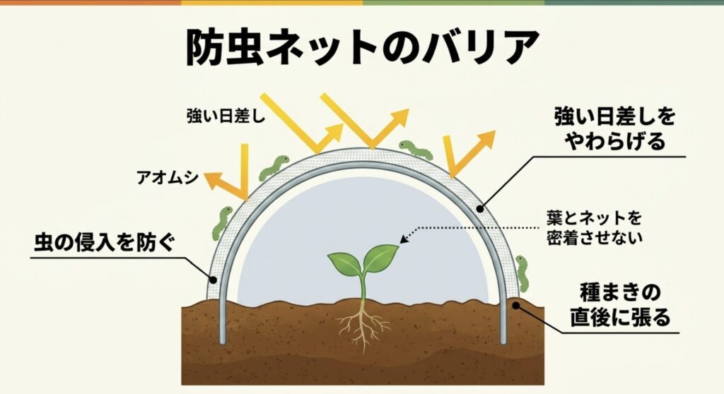 8月の家庭菜園で防虫ネットが虫の侵入を防ぎ強い日差しもやわらげることを示す図
