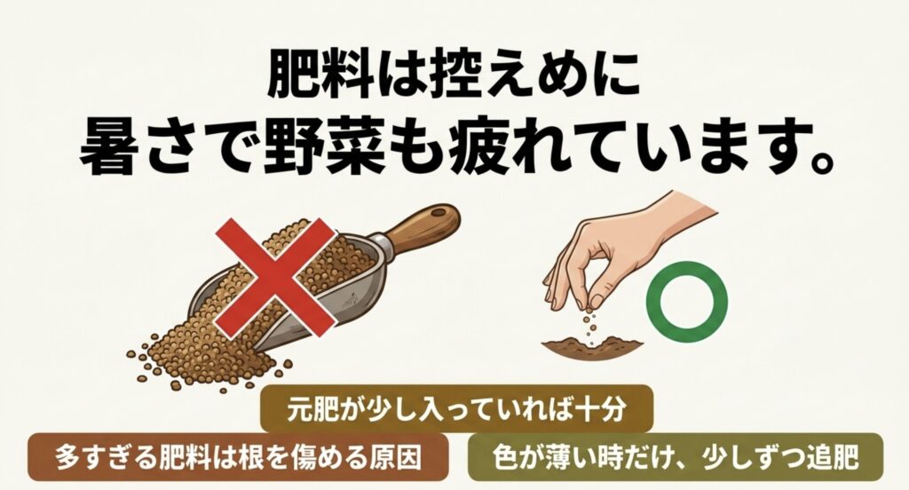8月の暑さで弱った野菜には肥料を多く与えず少量ずつ追肥することを示す図