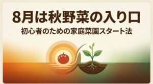 8月から家庭菜園を始める初心者向けに秋野菜への切り替えを示したイメージ