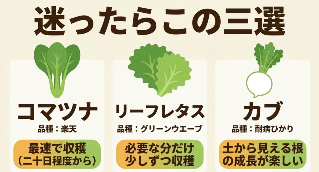 コマツナ楽天、リーフレタスのグリーンウエーブ、カブの耐病ひかりを比較した初心者向け野菜3選